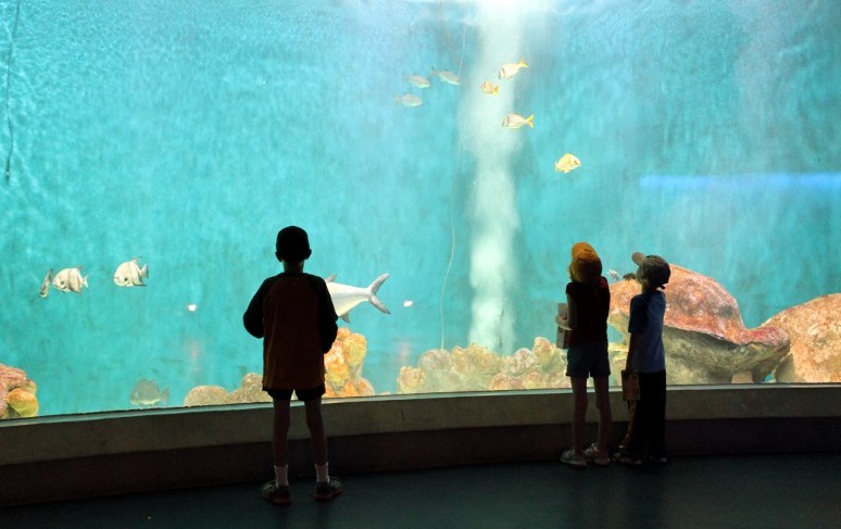 National Mississippi River Museum & Aquarium